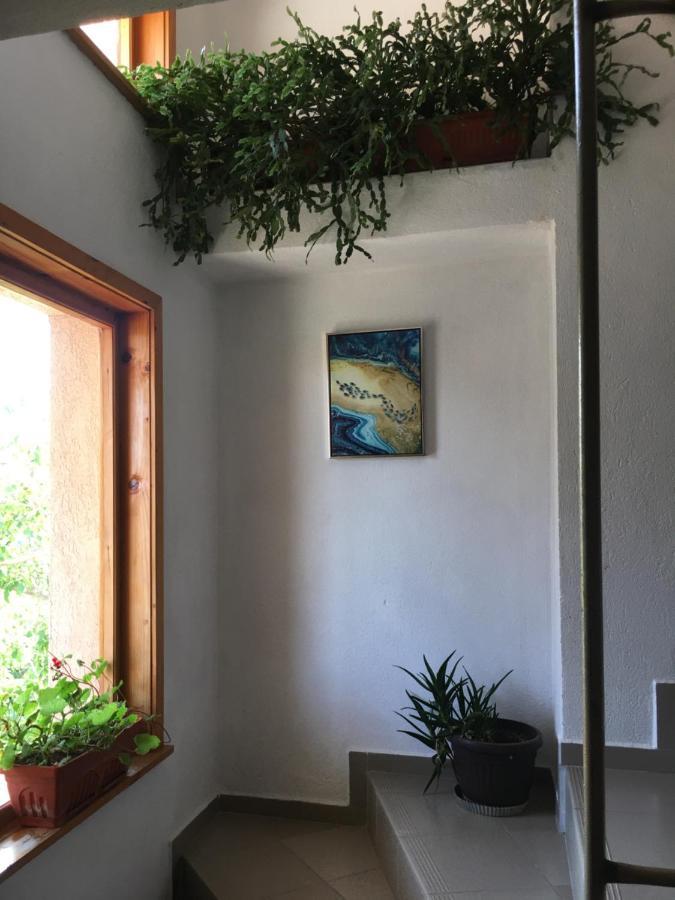 Chervenkov Guest House Chernomorets Dış mekan fotoğraf