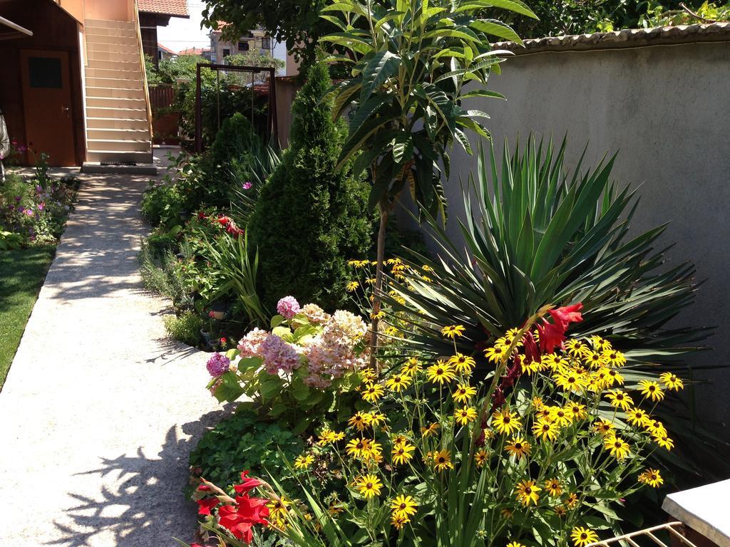 Chervenkov Guest House Chernomorets Dış mekan fotoğraf