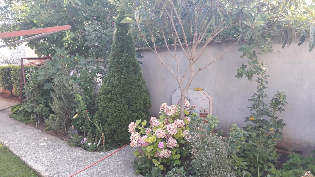 Chervenkov Guest House Chernomorets Dış mekan fotoğraf