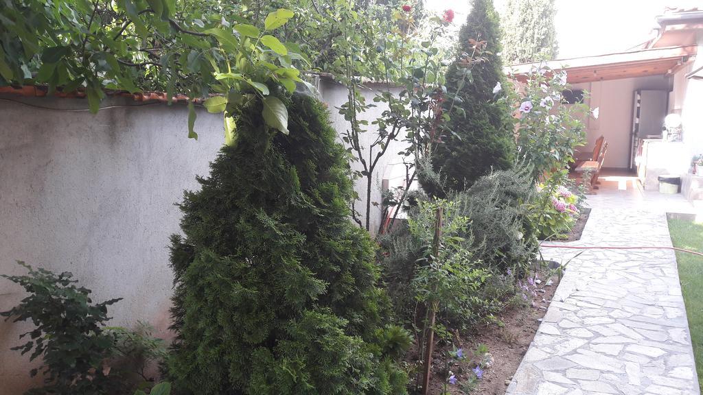 Chervenkov Guest House Chernomorets Dış mekan fotoğraf